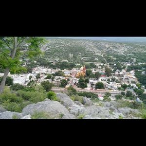 Meet your Posher, Julian